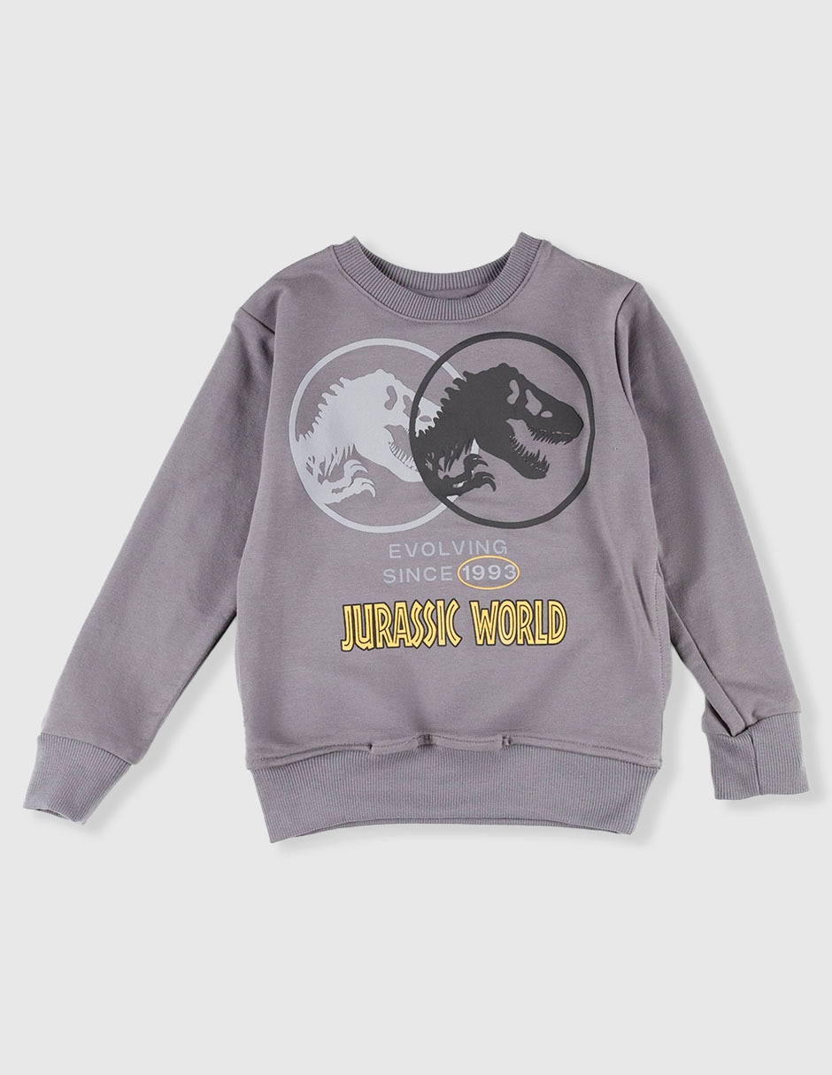 Sudadera para niño 2