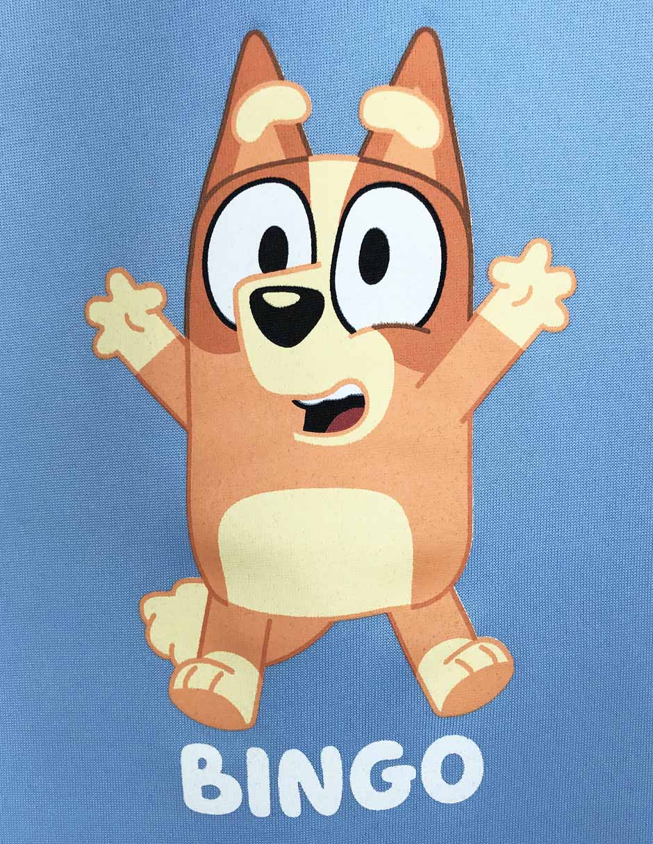 Sudadera Bluey para niño