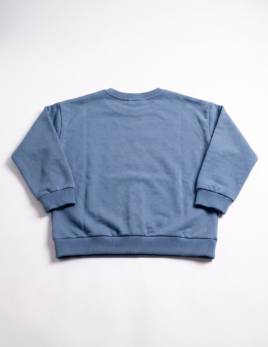 Sudadera piquenique para niño