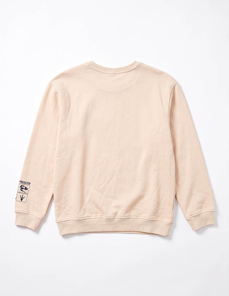 Sudadera para niño 2
