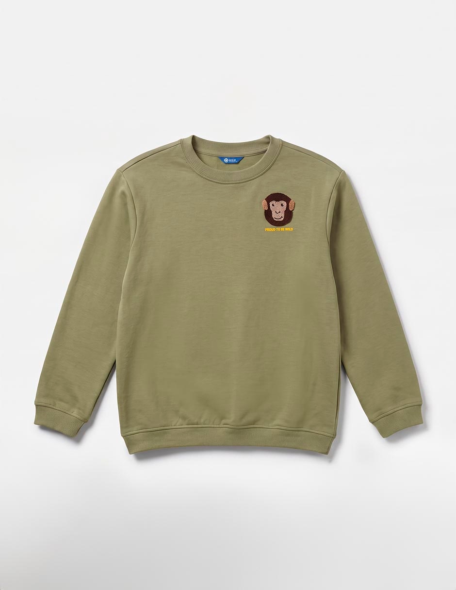 Sudadera para niño 1