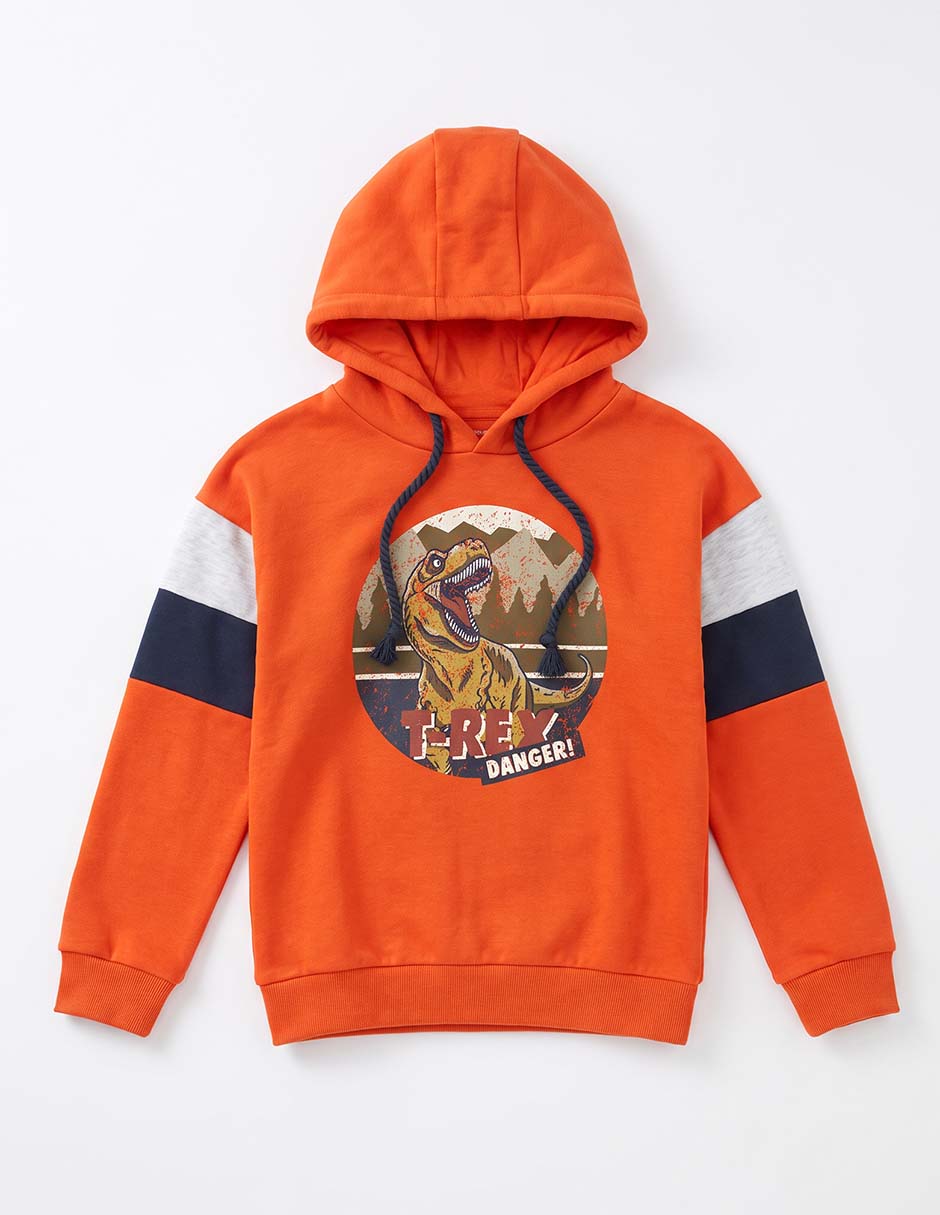Sudadera Dinosaurios / T-Rex Danger para niño Sudadera Dinosaurios / T-Rex Danger para niño
