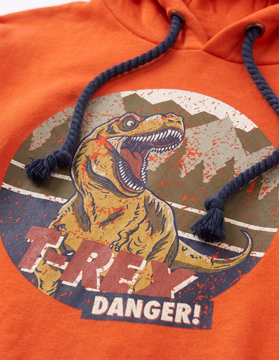 Sudadera Dinosaurios / T-Rex Danger para niño 3