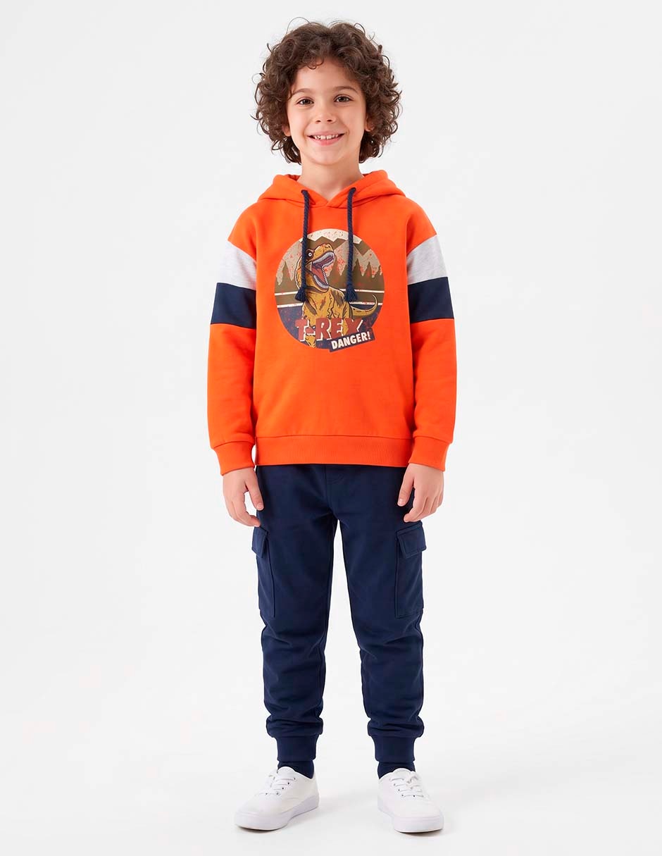 Sudadera Dinosaurios / T-Rex Danger para niño 4