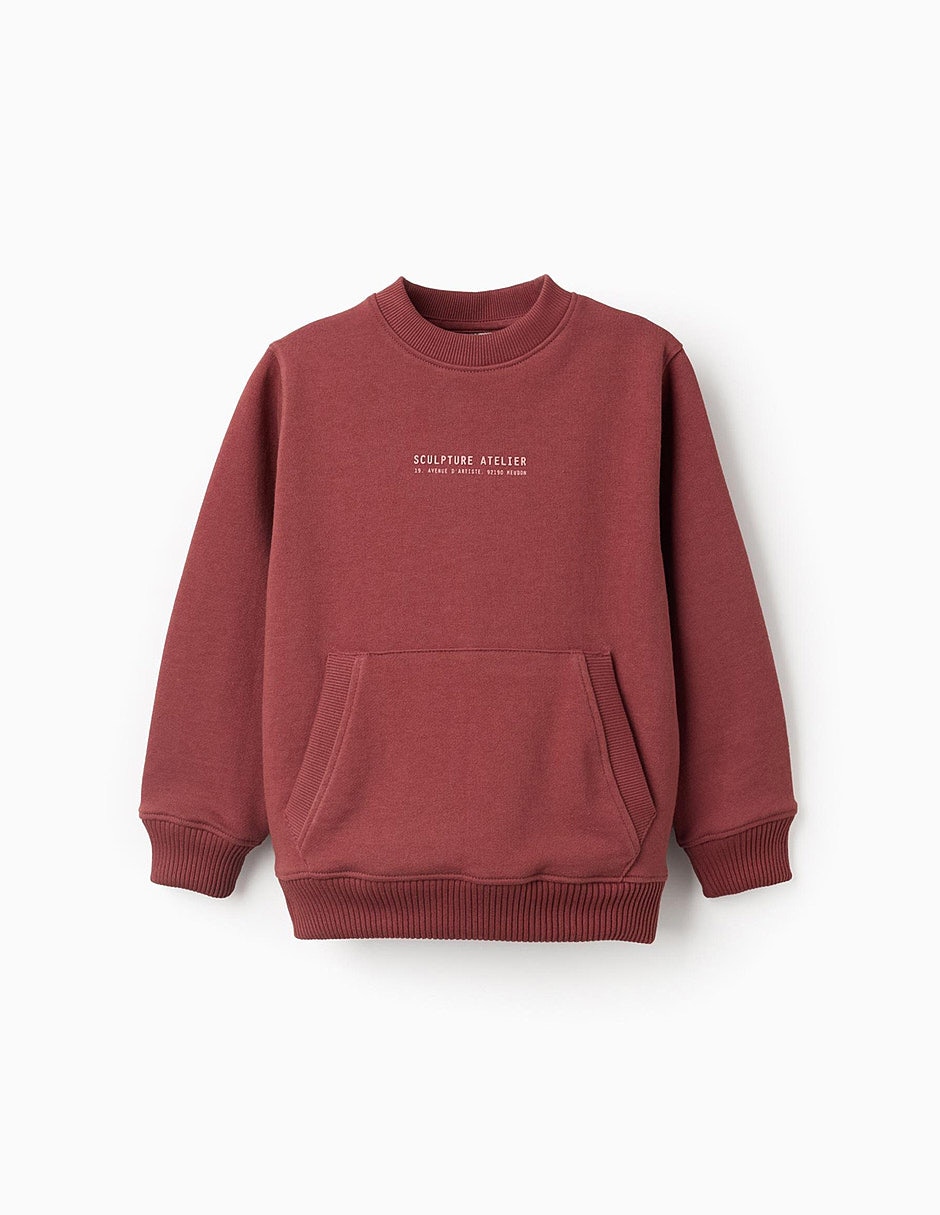 Sudadera zippy sculpting curiosity para infantil niño