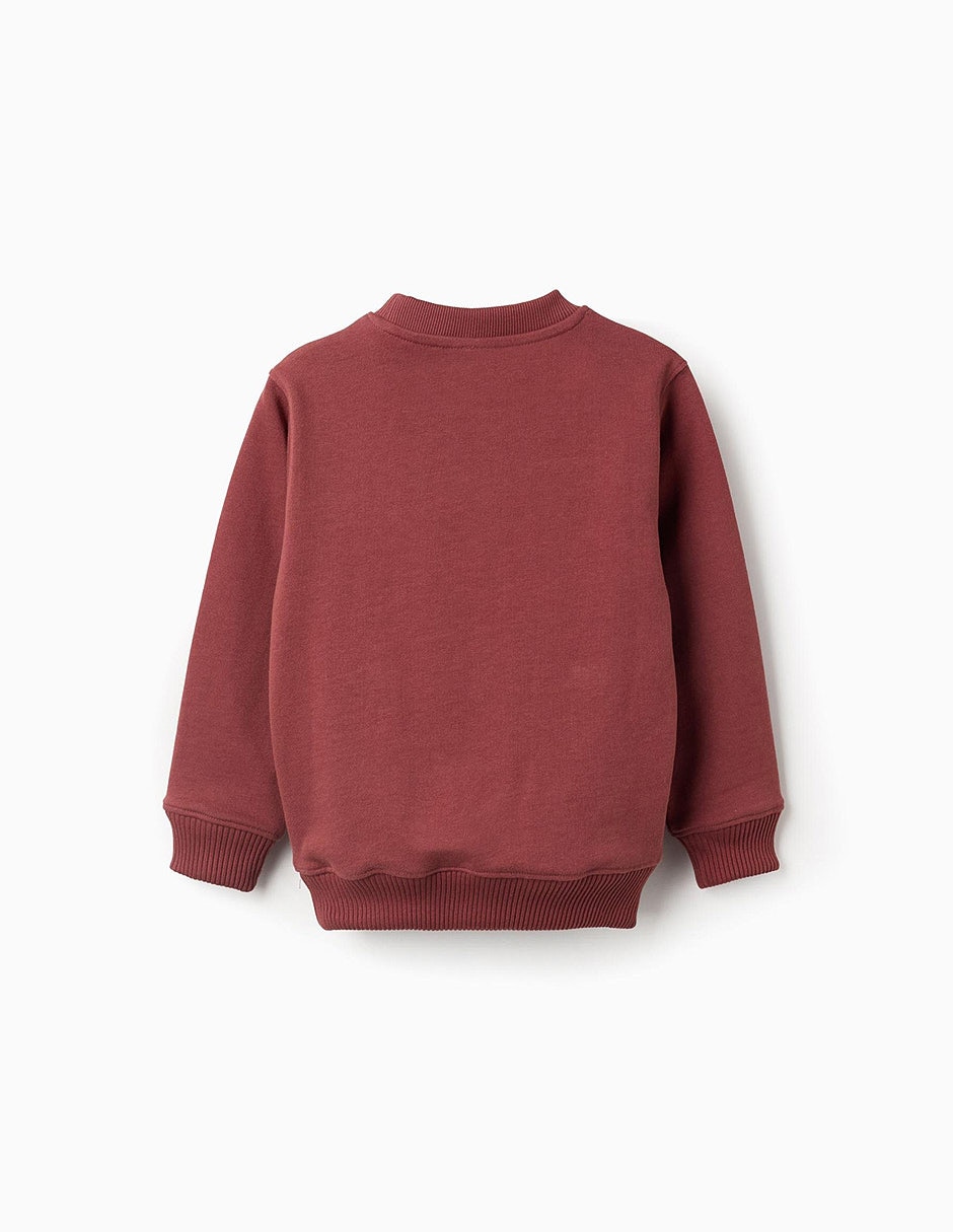 Sudadera zippy sculpting curiosity para infantil niño