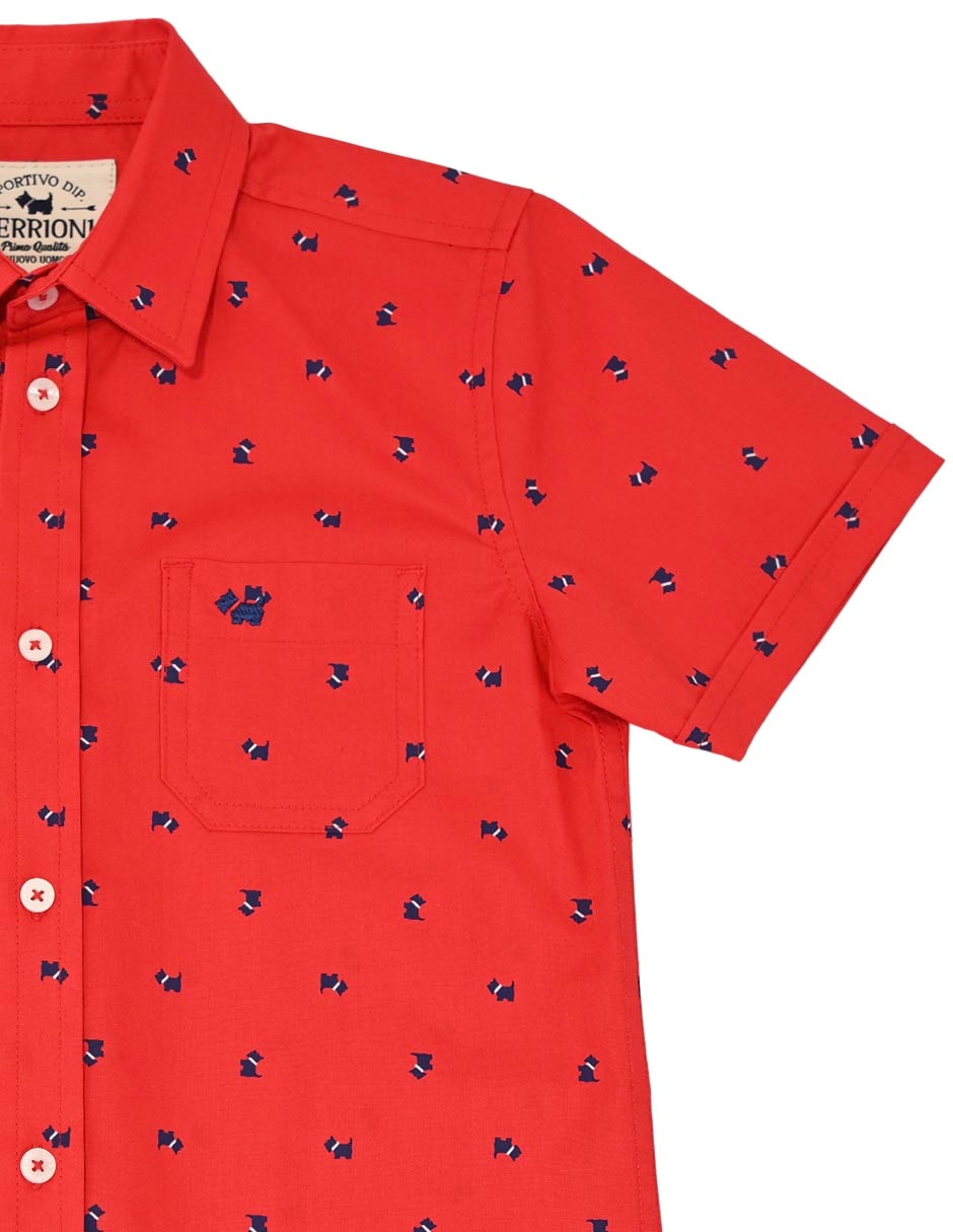 Camisa casual de algodón manga corta para niño 3