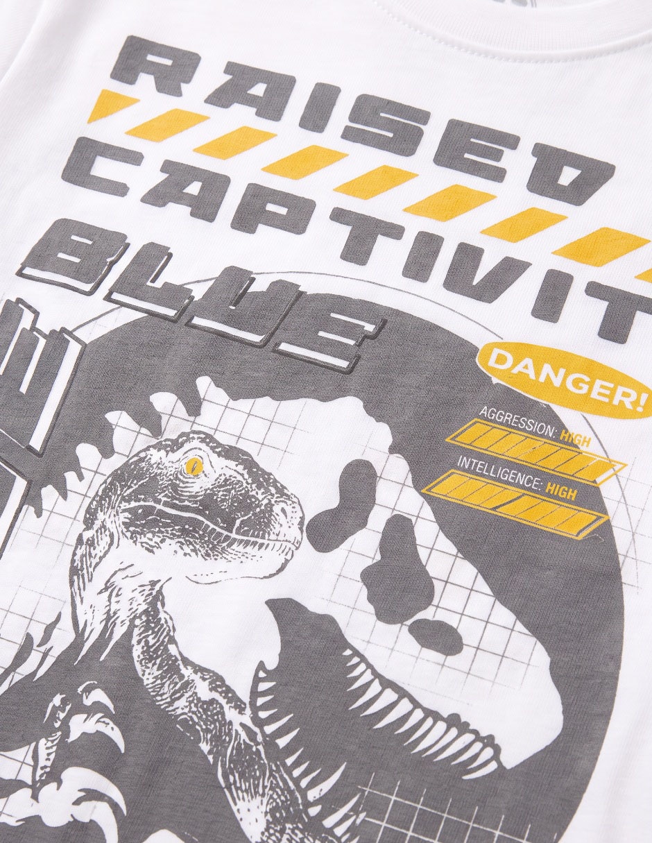 Playera manga larga para niño 5