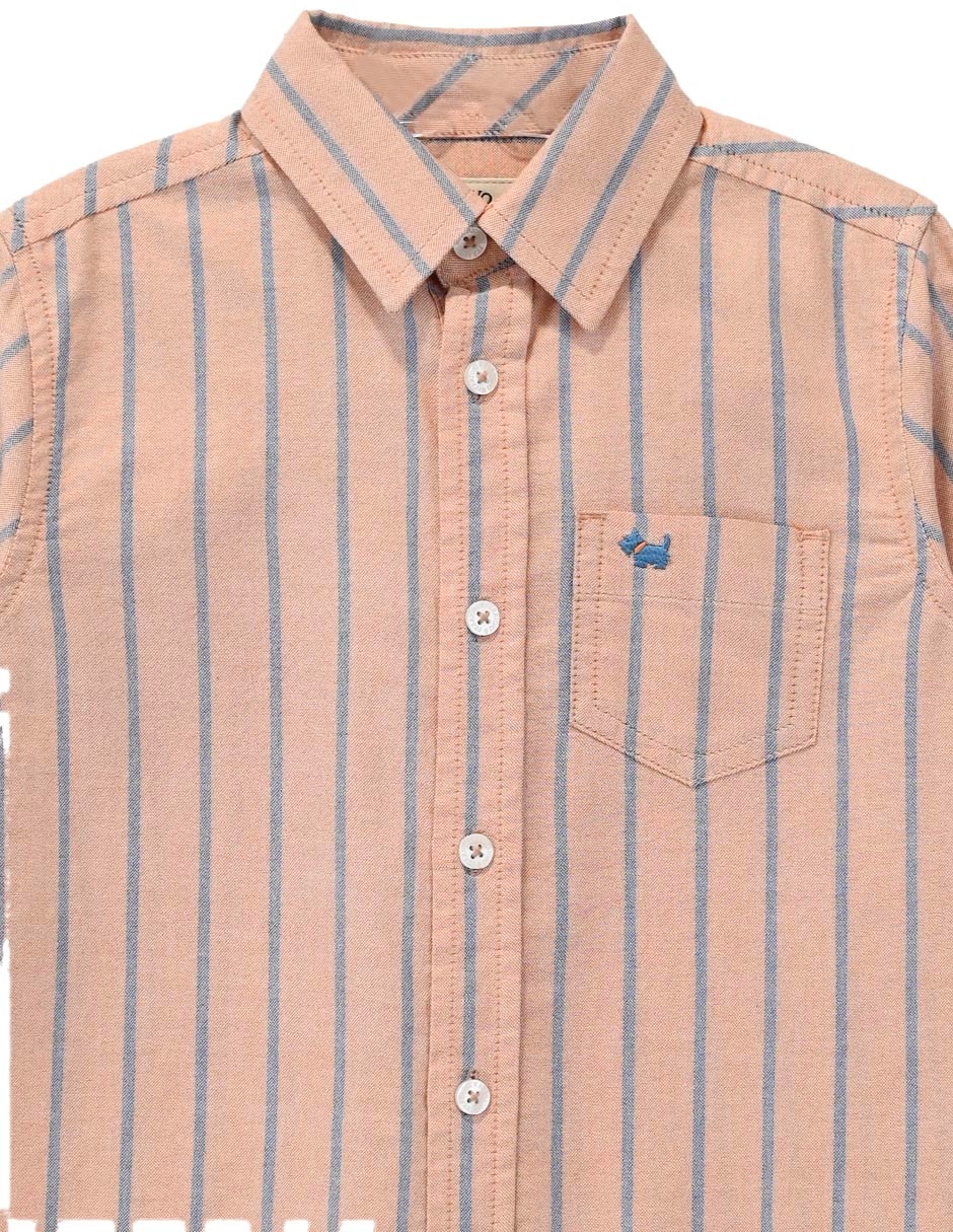 Camisa casual de algodón manga larga para niño 2